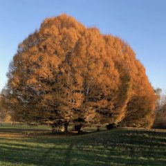 L’hiver approche mais cela ne nous arrête pas !