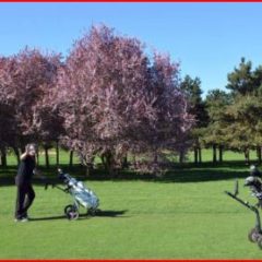 Challenge Senior Tour 2027 – 5/7